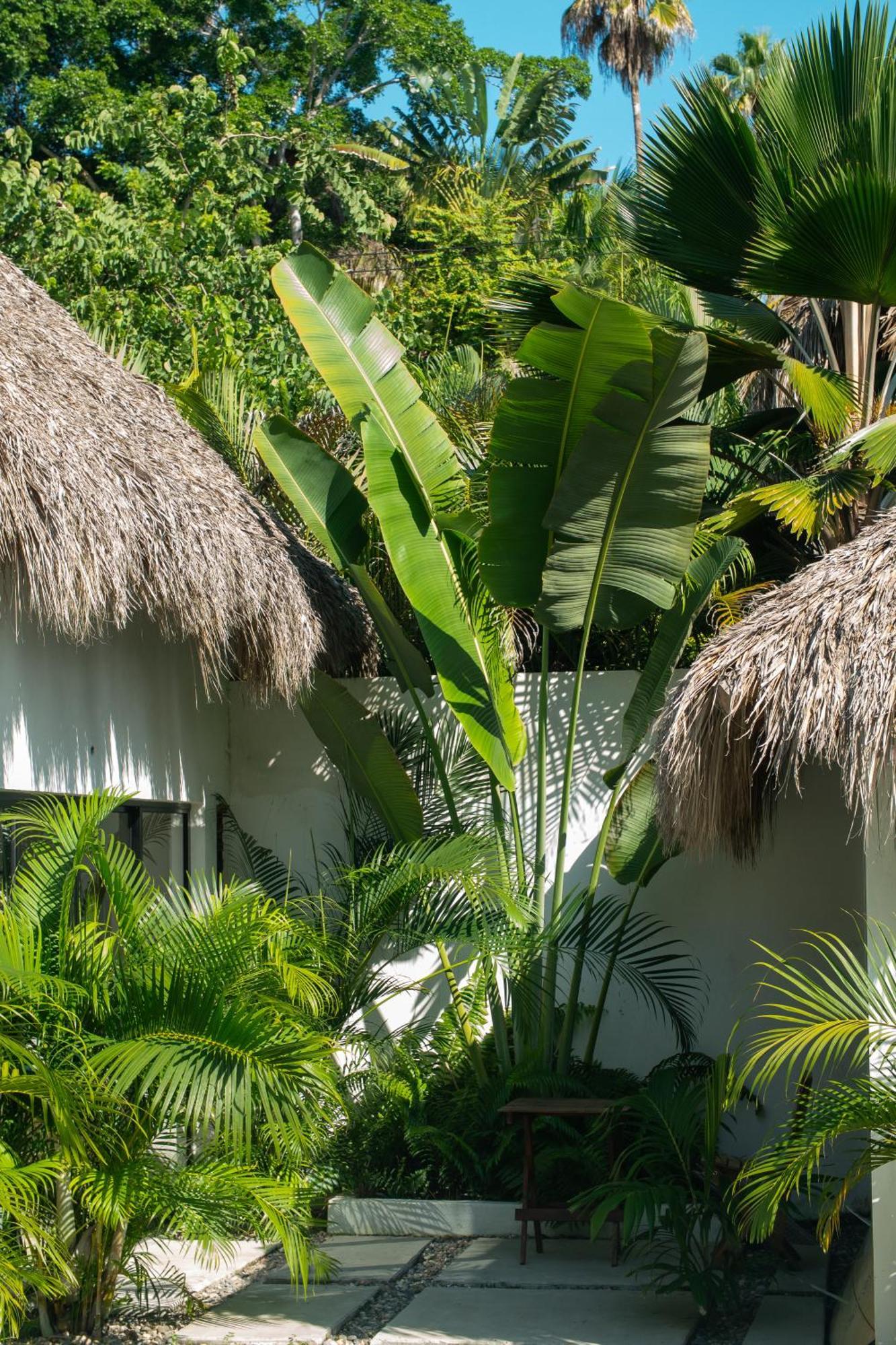 Sayulita Surf Bungalows Eksteriør billede